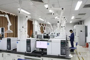 一季度鄂爾多斯經(jīng)濟(jì)運(yùn)行總體平穩(wěn)向好，計(jì)算機(jī)系統(tǒng)集成產(chǎn)業(yè)展現(xiàn)活力